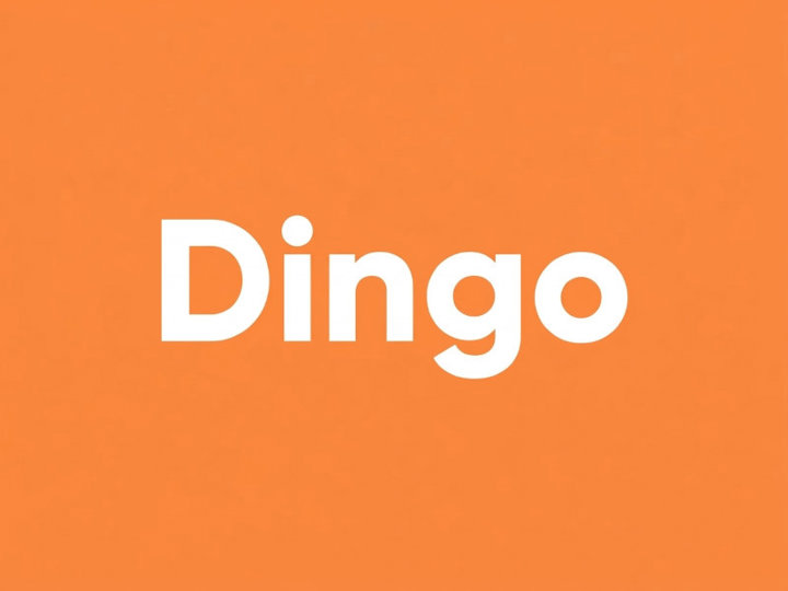 Dingo 
